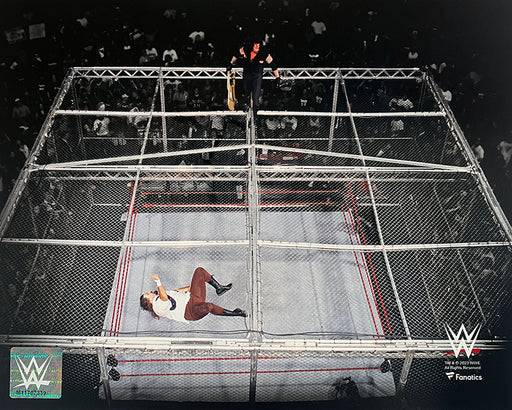 Mankind v. The Undertaker Hell in a Cell 8" x 10" WWE Wrestling Photo - for just $9.99! 