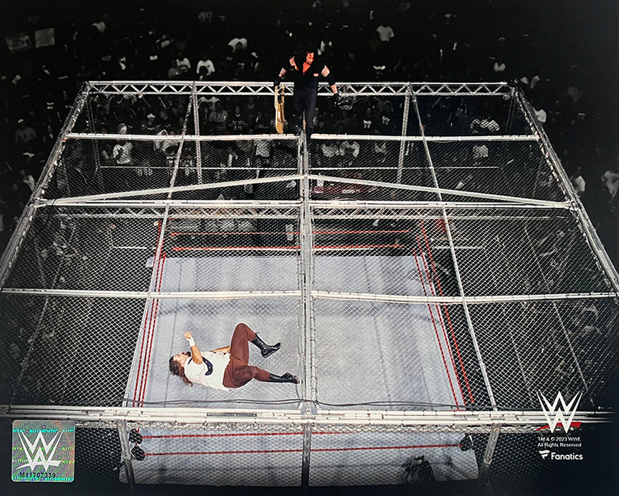 Mankind v. The Undertaker Hell in a Cell 8" x 10" WWE Wrestling Photo - for just $9.99! 
