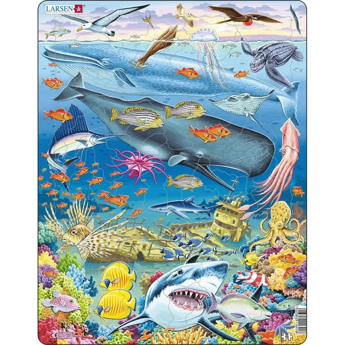 Marine Life in the Pacific Ocean 66 Piece Tray Jigsaw Puzzle Larsen - for just $11.99! 