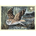 Marsh Owl by Angela Harding 1000 Piece Jigsaw Puzzle Flame Tree - for just $19.99! 