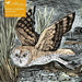 Marsh Owl by Angela Harding 1000 Piece Jigsaw Puzzle Flame Tree - for just $19.99! 