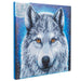 Midnight Wolf Crystal Art Framed Canvas Kit Craft Buddy - for just $29.99! 