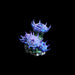 Turbo Dork: ZeniShift Acrylic Paint - Midnight City - for just $7! 