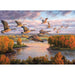 Migration 1000 Piece Jigsaw Puzzle Cobble Hill - for just $19.99! 