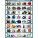 Minerals 1000 Piece Jigsaw Puzzle Eurographics - for just $19.99! 