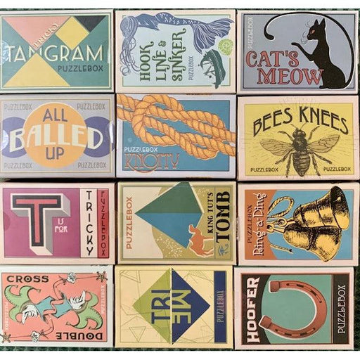 Mini Retro Brainteaser Puzzles 12 Piece Set Project Genius - for just $39.99! 