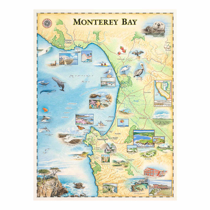 Monterey Bay 1000 Piece Jigsaw Puzzle Xplorer Maps - for just $24.99! 