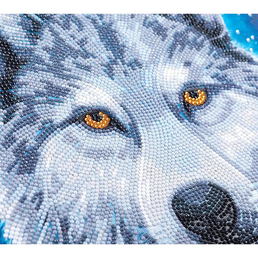 Moonlight Wolf Crystal Art Framed Canvas Kit Craft Buddy - for just $29.99! 