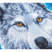 Moonlight Wolf Crystal Art Framed Canvas Kit Craft Buddy - for just $29.99! 