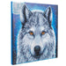 Moonlight Wolf Crystal Art Framed Canvas Kit Craft Buddy - for just $29.99! 