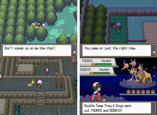 Pokemon Pure Heart NDS Nintendo DS Custom ROM Hack Video Game - for just $25.99! 