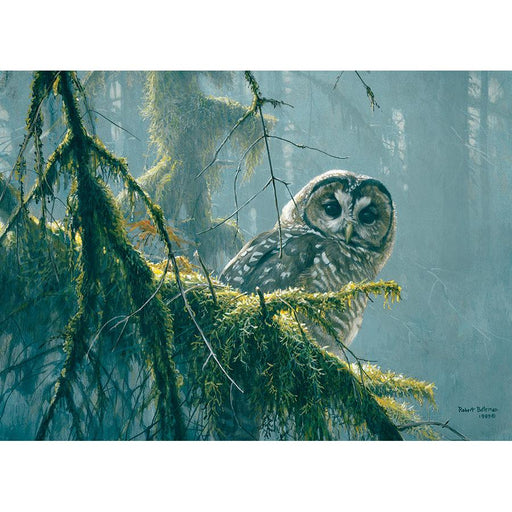 Mossy Branches - Spotted Owl 500 Piece Jigsaw Puzzle Cobble Hill - for just $17.99! 