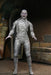 NECA Universal Monsters: Ultimate Mummy (COLOR) - for just $44.99! 