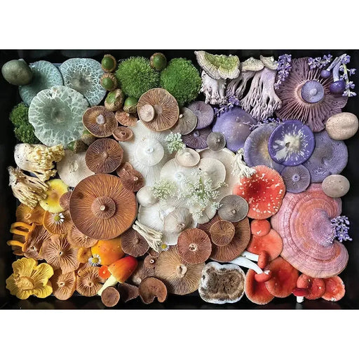 Mushroom Medley 1000 Piece Jigsaw Puzzle Insights - for just $19.99! 