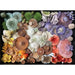 Mushroom Medley 1000 Piece Jigsaw Puzzle Insights - for just $19.99! 