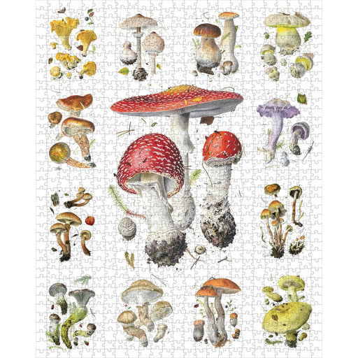 Mushrooms 1000 Piece Jigsaw Puzzle Pomegranate - for just $24.99! 