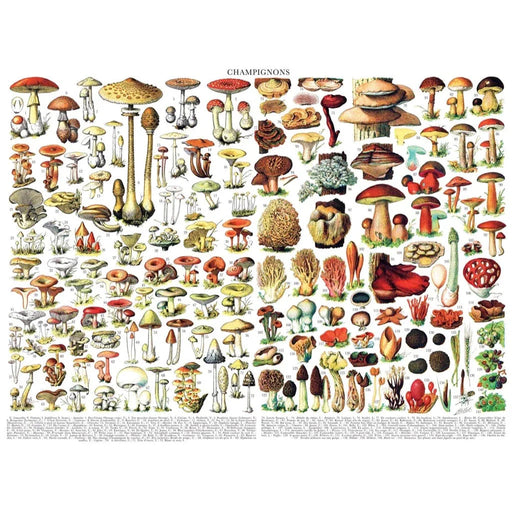 Mushrooms ~ Champignons 1000 Piece Jigsaw Puzzle NYPC - for just $24.99! 
