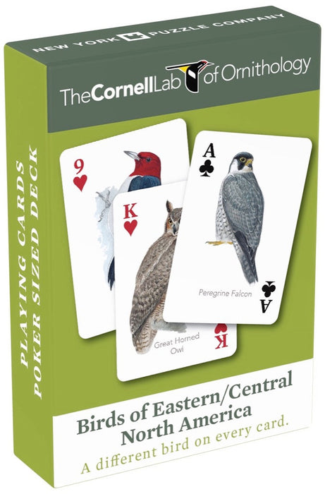 Birds of Eastern/Central North America Playing Cards - Just $15! Shop now at Retro Gaming of Denver