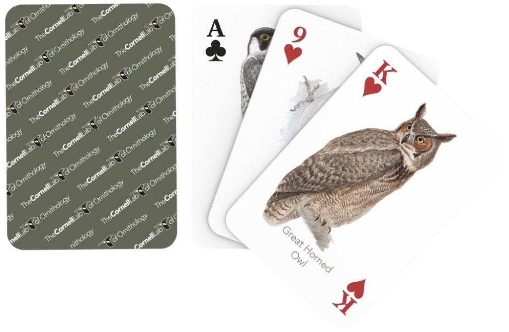 Birds of Eastern/Central North America Playing Cards - for just $15! 