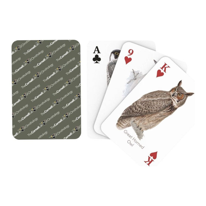 Birds of Eastern/Central North America Playing Cards - Premium Cards - Just $15! Shop now at Retro Gaming of Denver