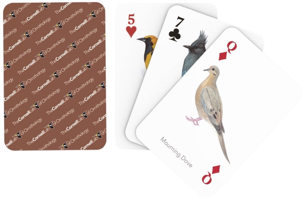 Birds of Western North America Playing Cards - Just $15! Shop now at Retro Gaming of Denver