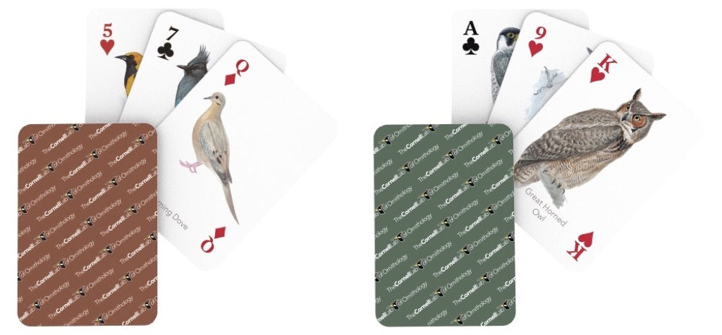 Cornell Birds Double Deck Playing Cards - Just $29! Shop now at Retro Gaming of Denver