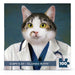 Copy Cat - Cloned Kitty Mini - for just $15! 