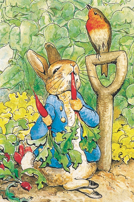 Peter Rabbit Mini - for just $9! 