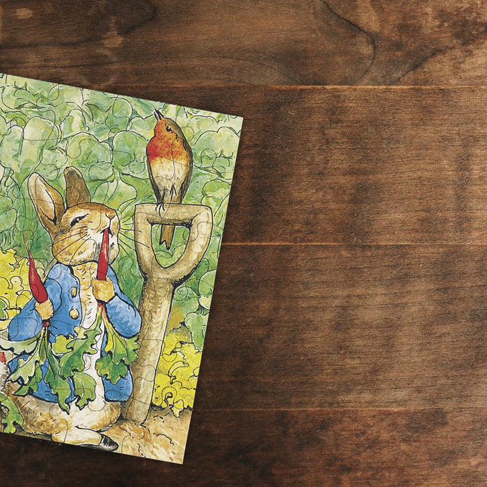 Peter Rabbit Mini - for just $9! 