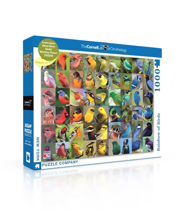 Rainbow of Birds - Just $25! Shop now at Retro Gaming of Denver