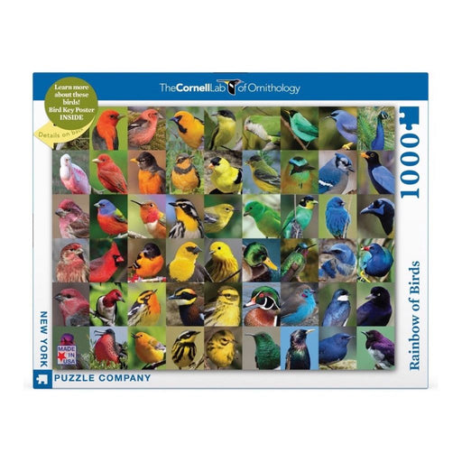 Rainbow of Birds - Just $25! Shop now at Retro Gaming of Denver