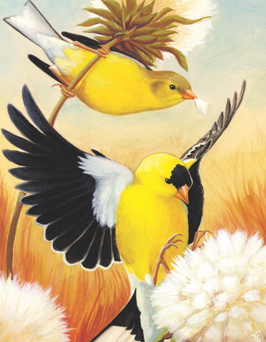 American Goldfinch Mini - for just $12! 