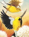 American Goldfinch Mini - for just $12! 