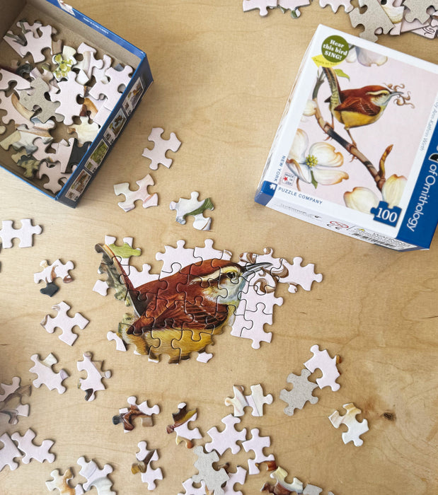 Carolina Wren Mini - for just $12! 