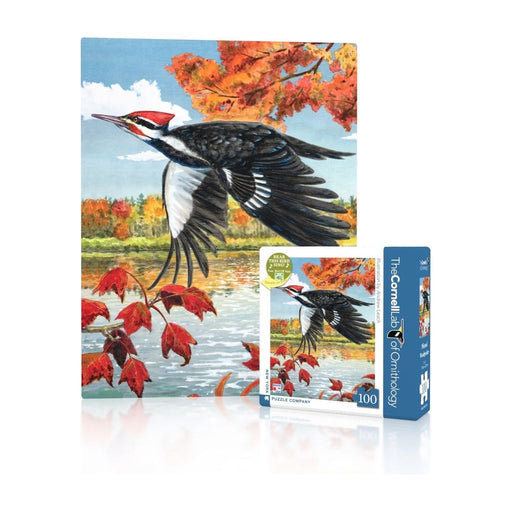 Pileated Woodpecker Mini - Just $12! Shop now at Retro Gaming of Denver