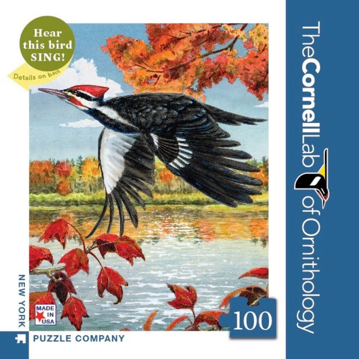 Pileated Woodpecker Mini - Just $12! Shop now at Retro Gaming of Denver