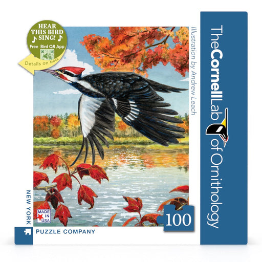 Pileated Woodpecker Mini - for just $12! 
