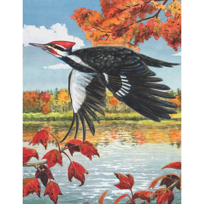 Pileated Woodpecker Mini - Just $12! Shop now at Retro Gaming of Denver