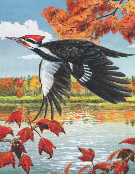 Pileated Woodpecker Mini - Just $12! Shop now at Retro Gaming of Denver