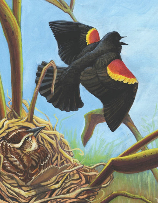 Red-winged Blackbird Mini - Just $12! Shop now at Retro Gaming of Denver