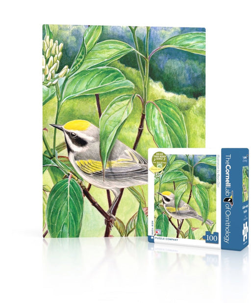 Golden-winged Warbler Mini - Just $12! Shop now at Retro Gaming of Denver