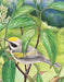 Golden-winged Warbler Mini - Just $12! Shop now at Retro Gaming of Denver