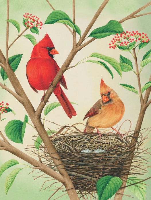 Northern Cardinals - Just $23! Shop now at Retro Gaming of Denver