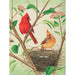 Northern Cardinals - Just $23! Shop now at Retro Gaming of Denver