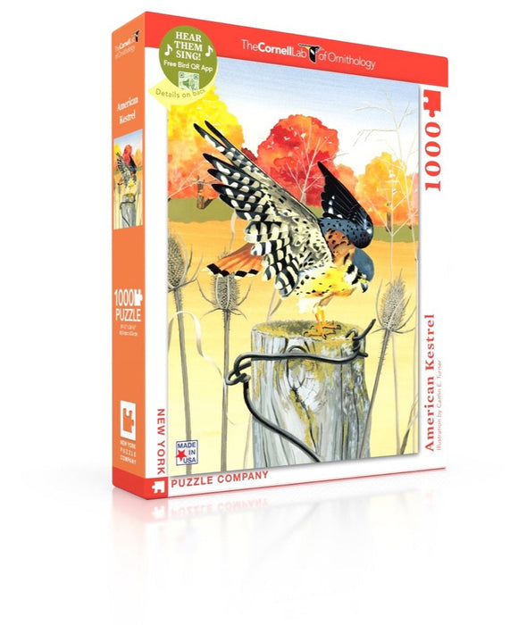 American Kestrel - Just $25! Shop now at Retro Gaming of Denver