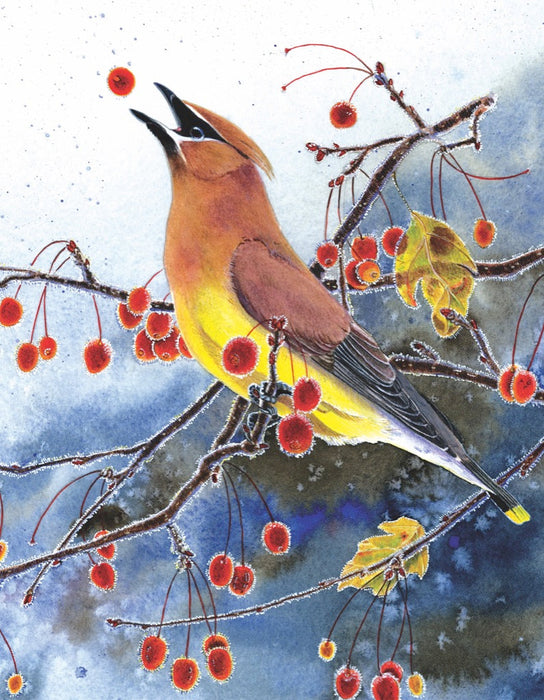 Cedar Waxwing Mini - for just $12! 