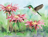 Ruby-throated Hummingbird Mini - Just $12! Shop now at Retro Gaming of Denver