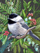 Black-capped Chickadee - Just $23! Shop now at Retro Gaming of Denver