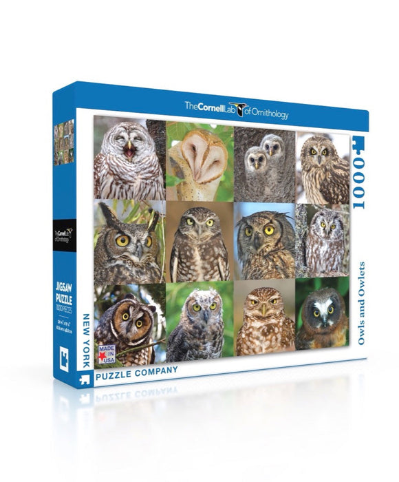 Owls and Owlets - Just $25! Shop now at Retro Gaming of Denver