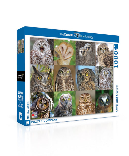 Owls and Owlets - for just $25! 